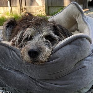 Meet your Posher, Christine